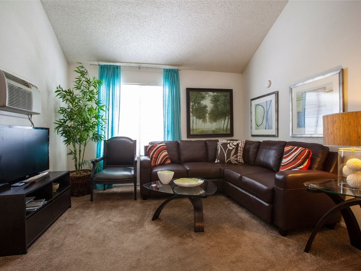 Living Room (Model) at Cinnamon Tree Apartments in Albuquerque, MN